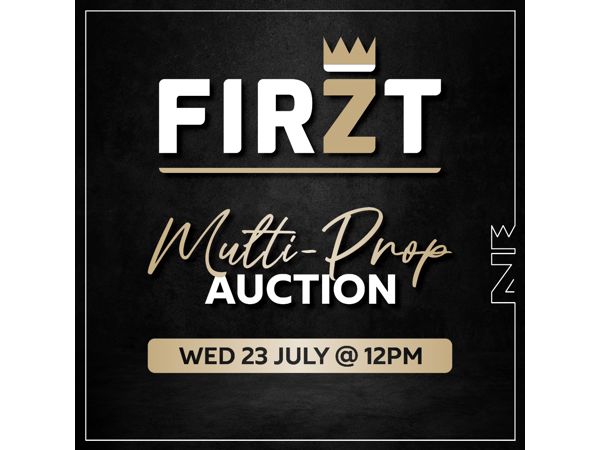 Multiprop Auction